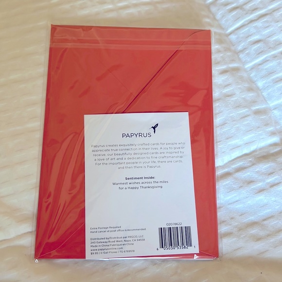 4 Beautiful & Unique Papyrus Thanksgiving Cards - NWT - Picture 3 of 9